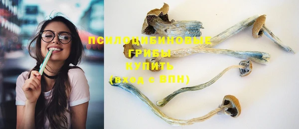 тгк Аркадак
