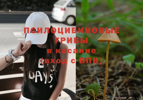 тгк Аркадак