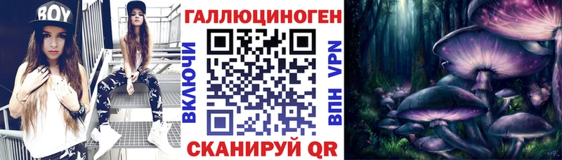 Псилоцибиновые грибы Cubensis  Первомайск 